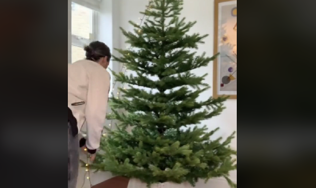 Problemer med julelys på juletræet: Sådan får du lyskæden på med et snuptag