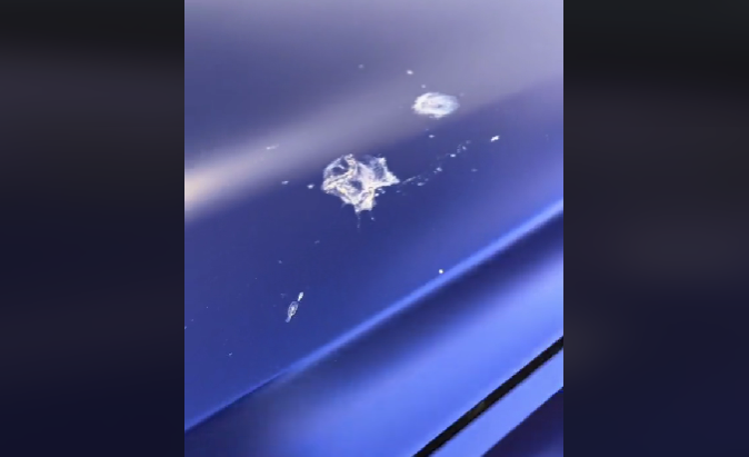 Er der fugleklatter på bilen? Slip af med dem i 3 lette trin