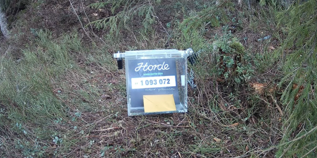 Klar på en skattejagt? Her er der gemt 1 mio. kroner, som du må beholde, hvis du finder dem