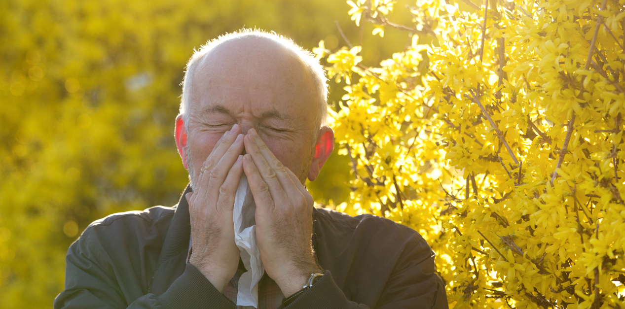 Lider du af pollen allergi? Så husk altid dette før sengetid