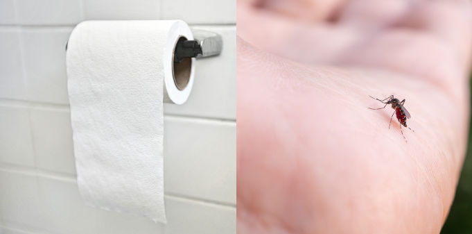 En overraskende løsning: Kom myggene til livs med toiletpapir