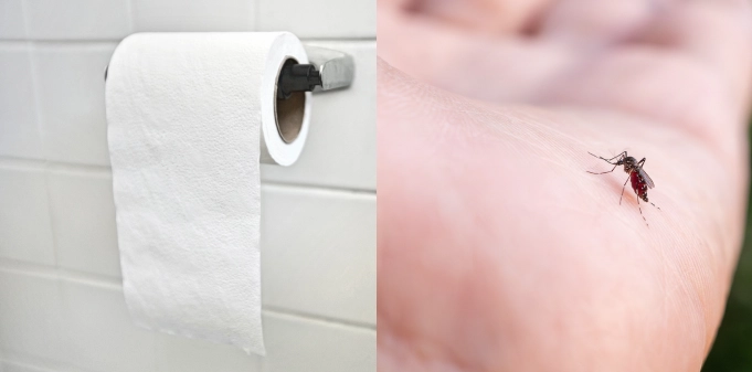 En overraskende løsning: Kom myggene til livs med toiletpapir