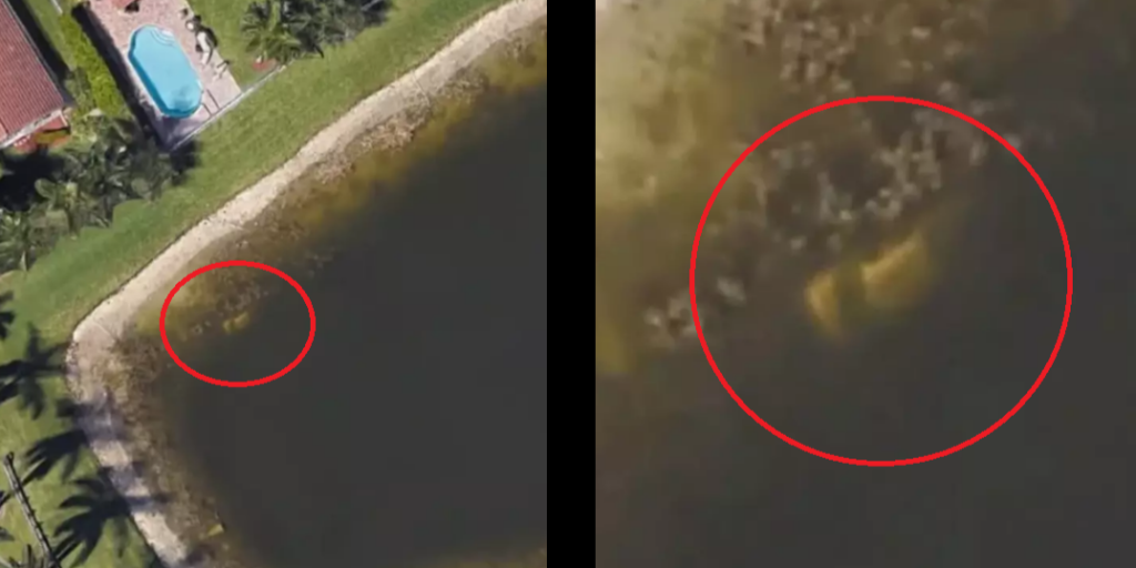 Mand løste 22 år gammel krimigåde: Fandt skræmmende hemmelighed på Google Earth
